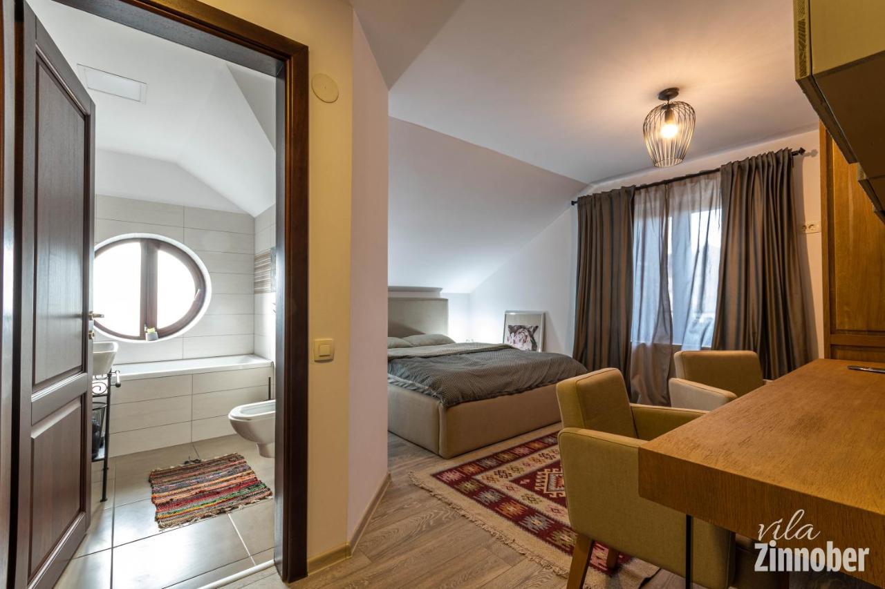 Vila Zinnober Брашов Экстерьер фото