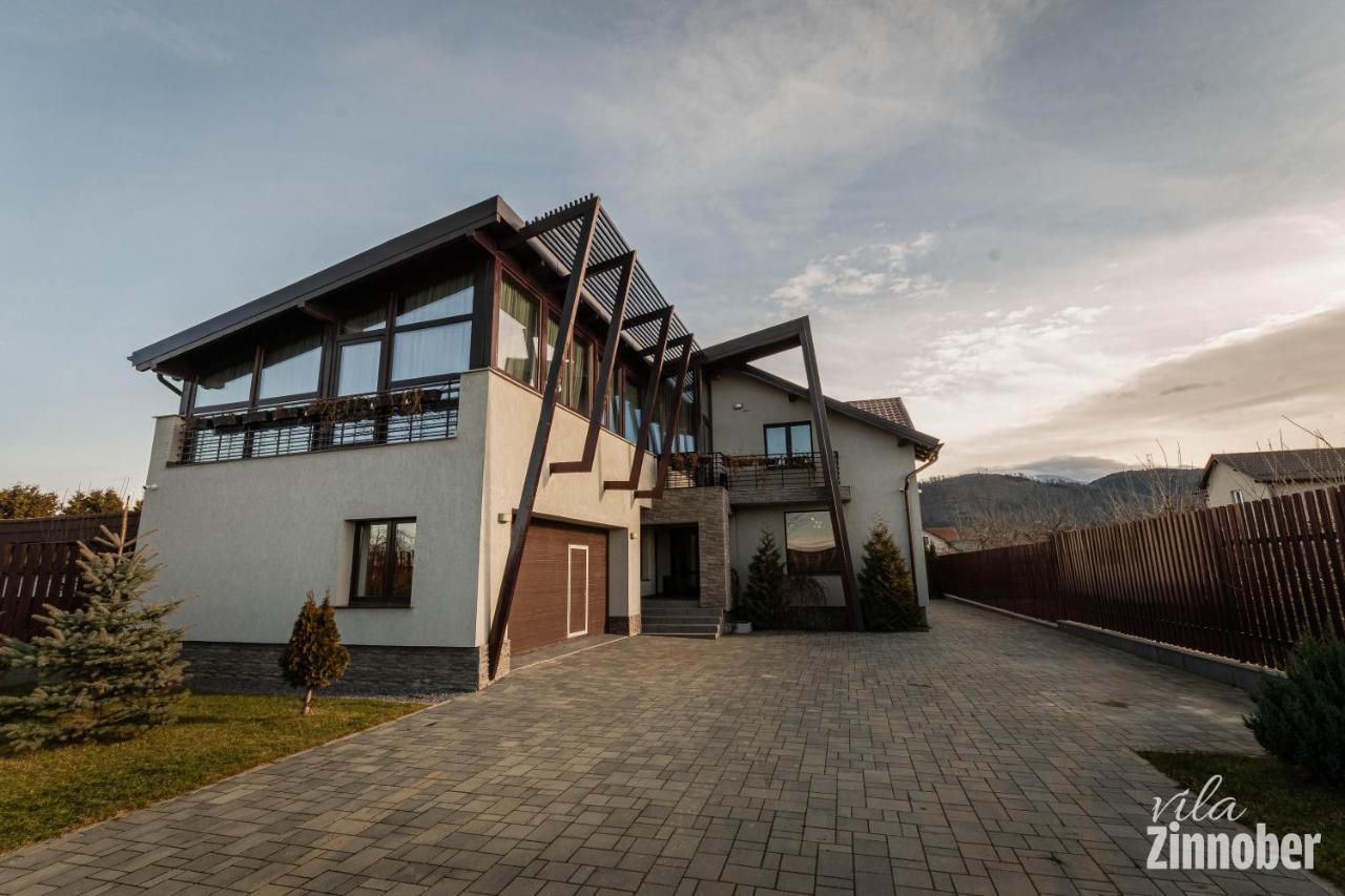 Vila Zinnober Брашов Экстерьер фото