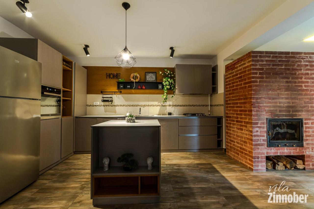 Vila Zinnober Брашов Экстерьер фото