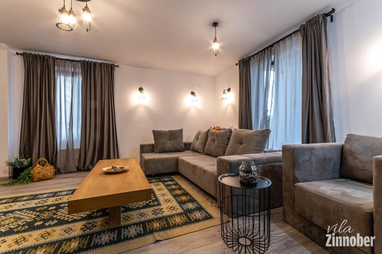 Vila Zinnober Брашов Экстерьер фото