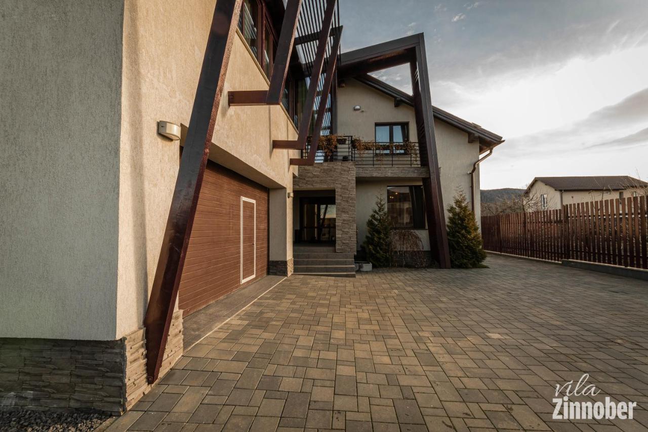 Vila Zinnober Брашов Экстерьер фото