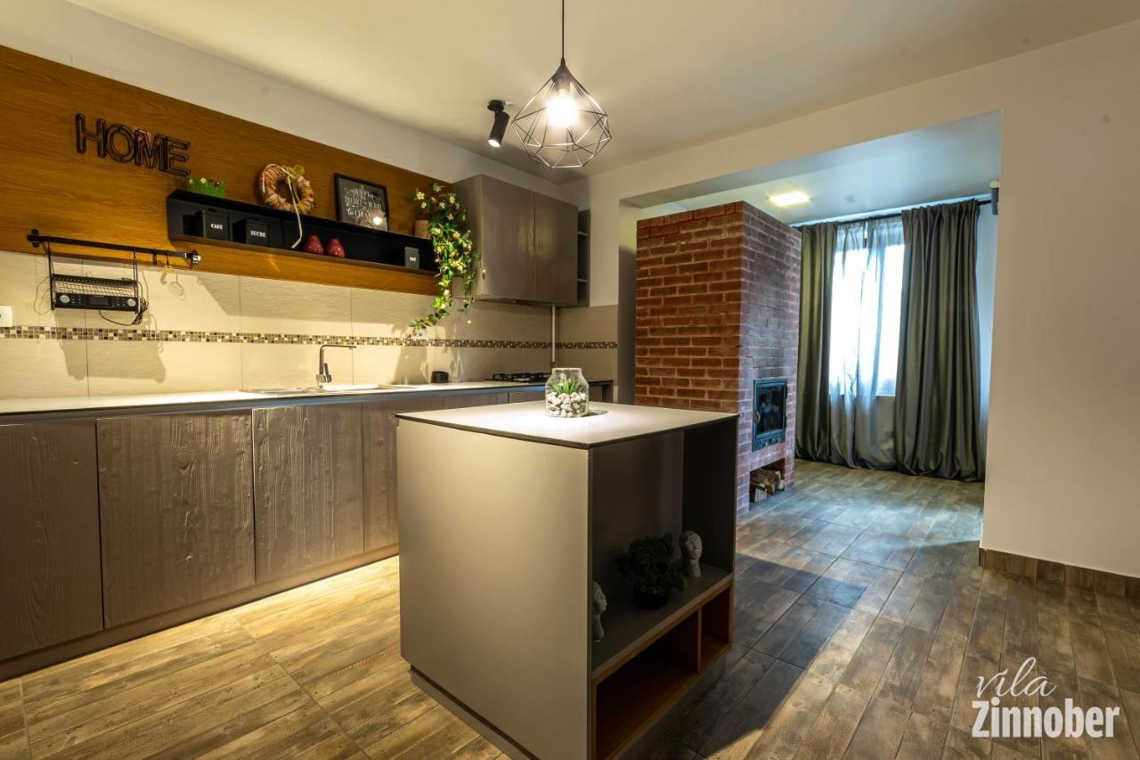 Vila Zinnober Брашов Экстерьер фото
