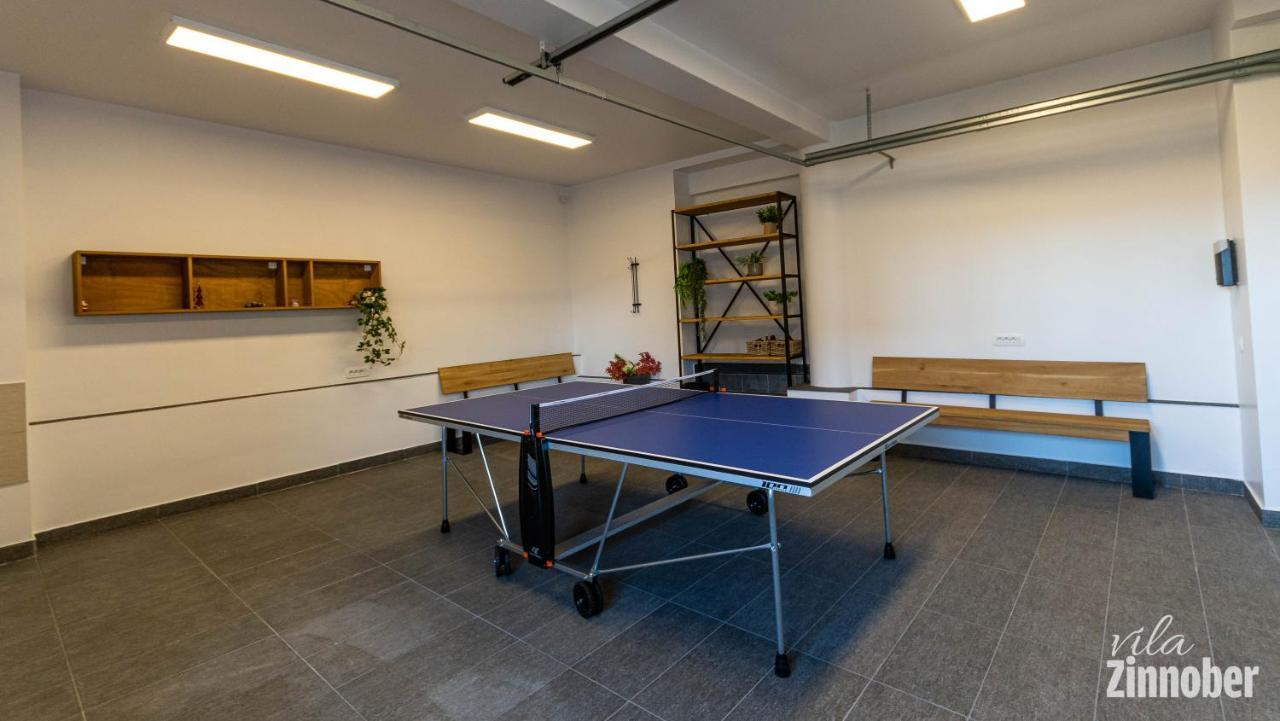 Vila Zinnober Брашов Экстерьер фото